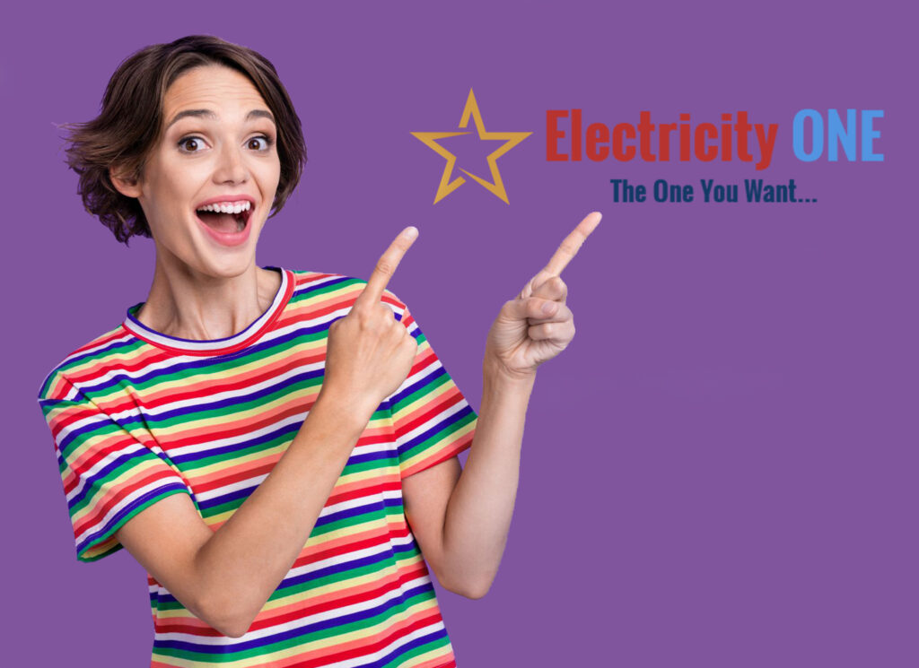 ElectricityOne.com Electric Choice